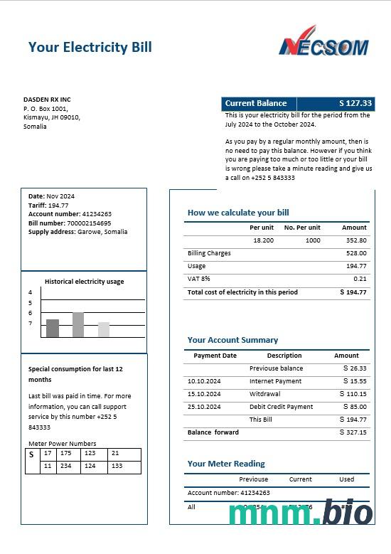Somalia Nescom Company electricity rachunek za usługi komunalne szablon w formatach Word i PDF